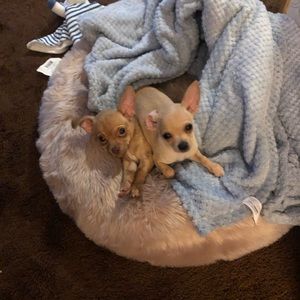 Meet your Posher, Lorene